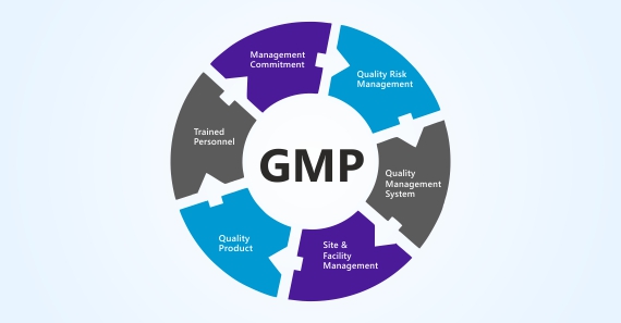 chlorhexidine-gmp-facilities-pharma